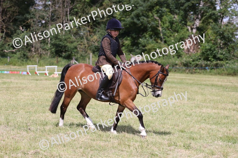 20260614-1766 - Class 21 - Novice Working Hunter Pony
