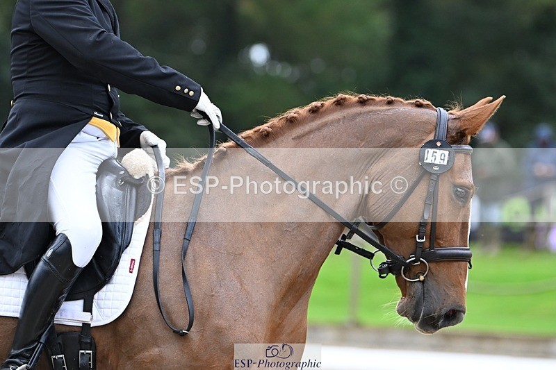 231019-145931-04336 - 059-MINNIE.MANOEUVREZ-Mark.Ford-DR