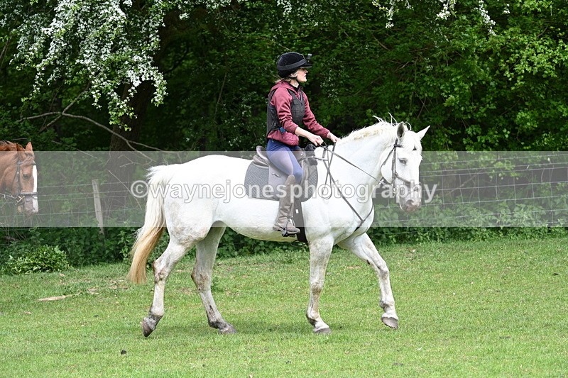 WJ7_2231 - Group 4 A&B Cameras