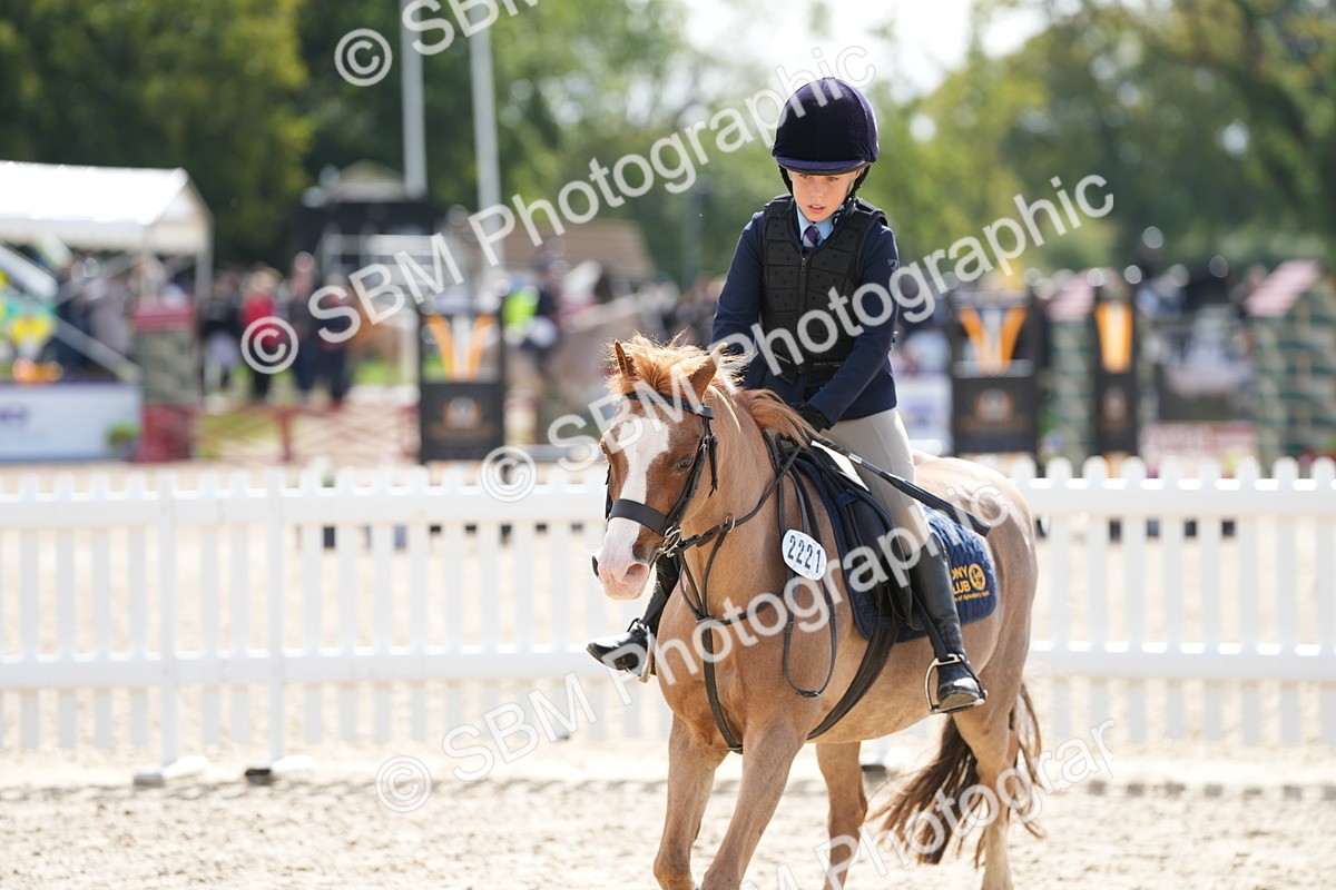 SBM_40757 - Supreme Championship Pony 50-55cm