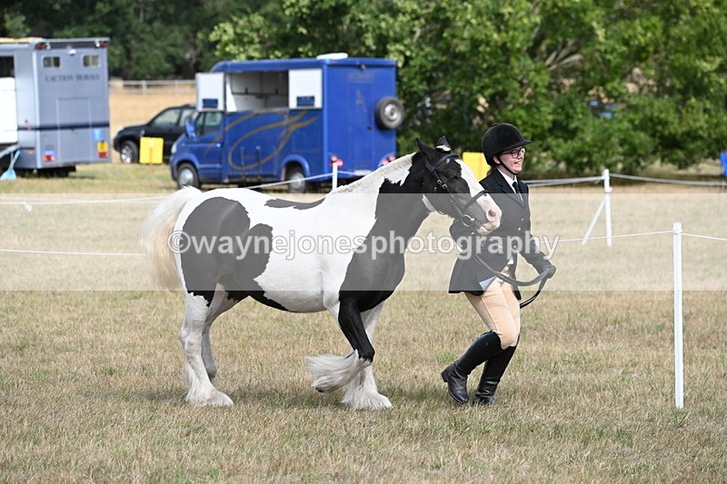 WJ6_6481 - Class 20 In-hand Cob