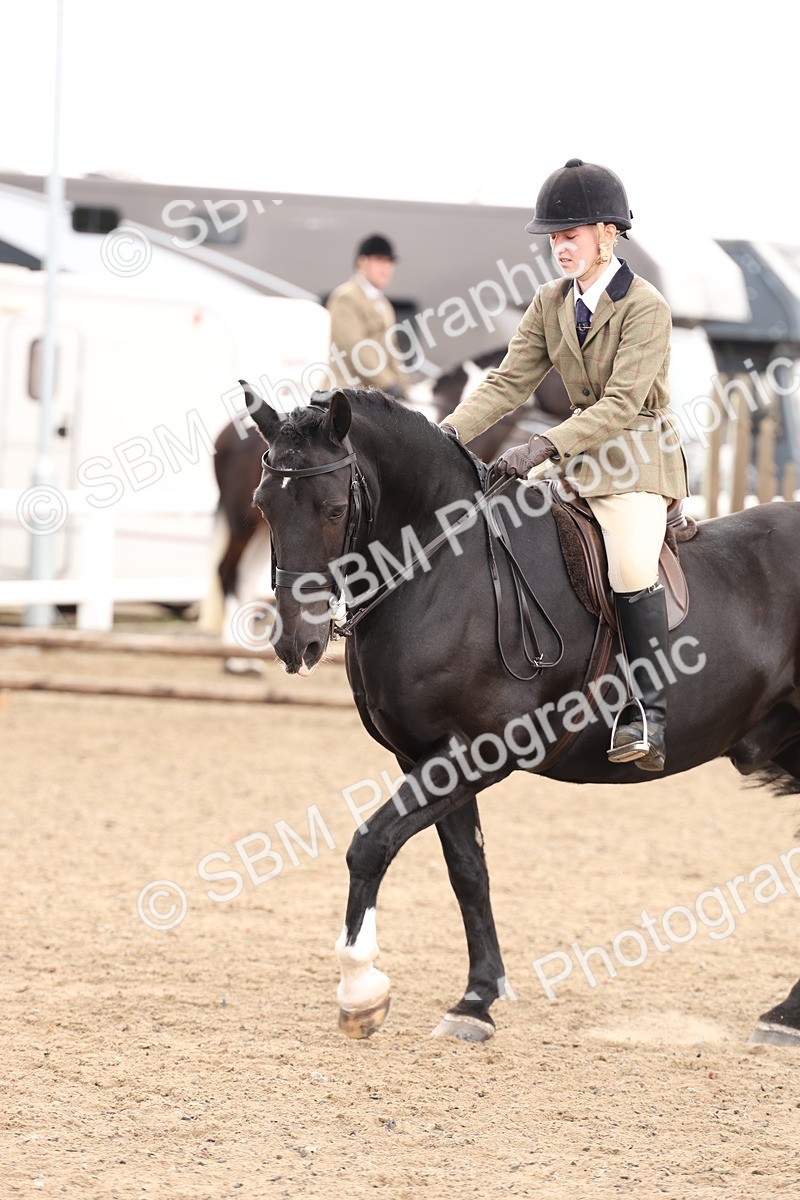 SBM_02906 - Class 53 - Ridden Competition Horse/Pony