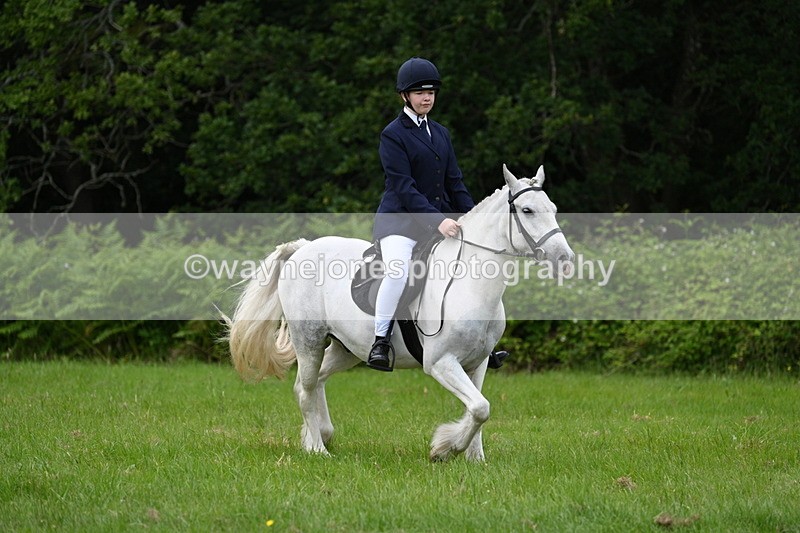 WJ7_2584 - Class 12A Coloured Class