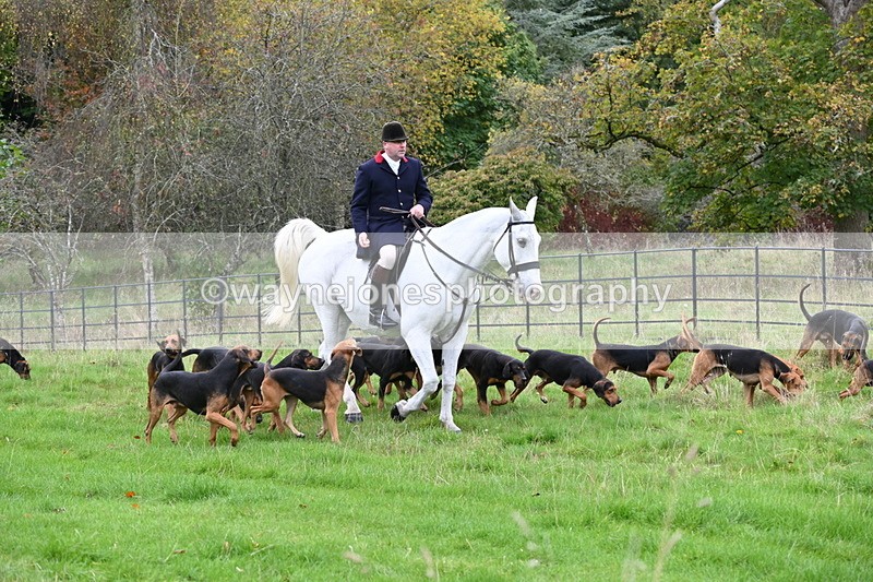 WJ6_0074 - Camera 2 Meet