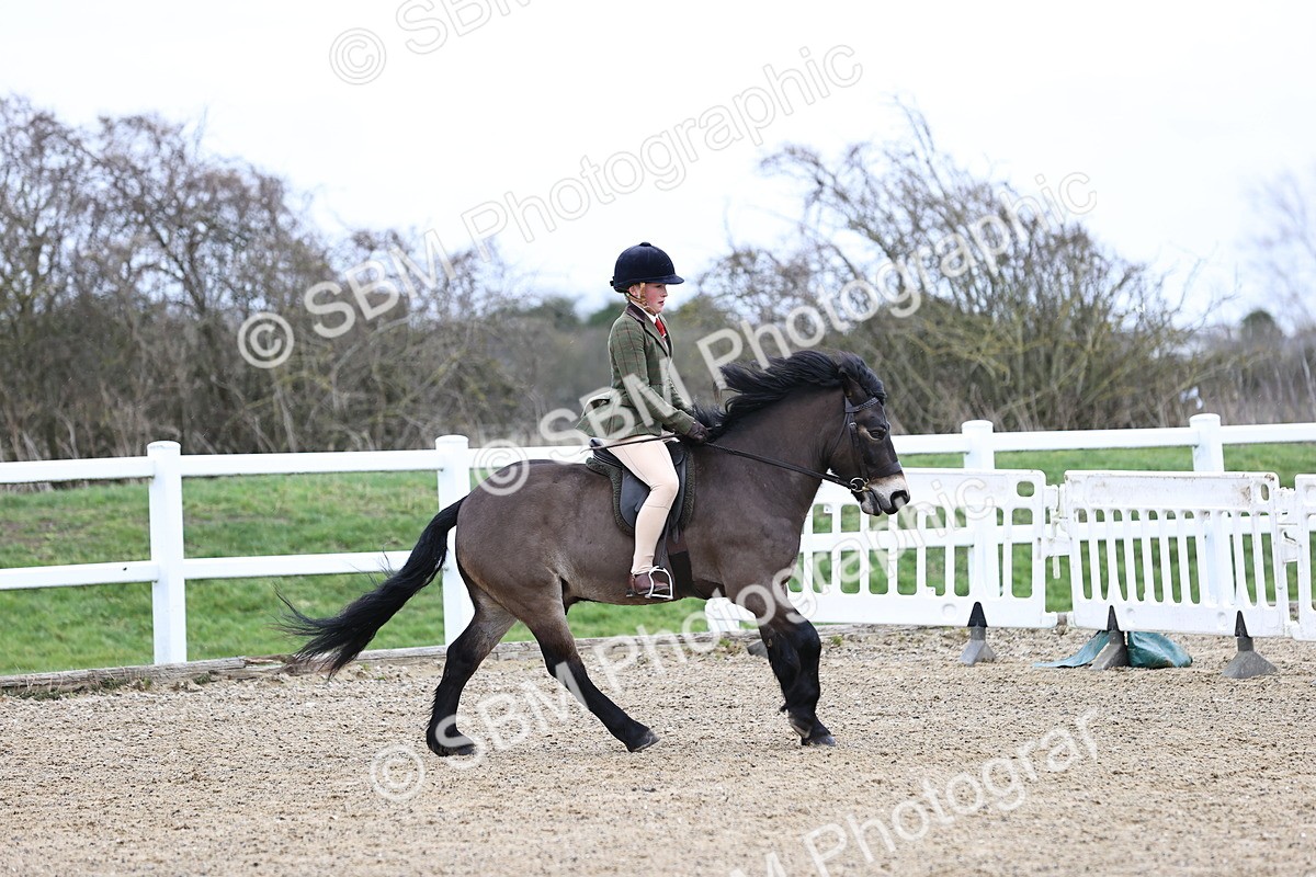 SBM_007410 - Class 31-32 - M&M Confined Novice Small-Large