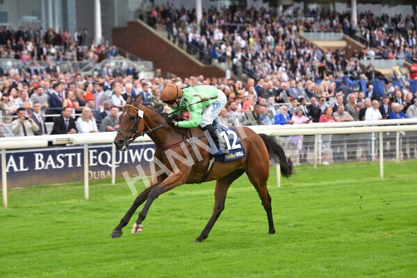 yr24092021r3-33 - Race 3 2.40pm WilliamHill.com Best Odds Guaranteed Stakes