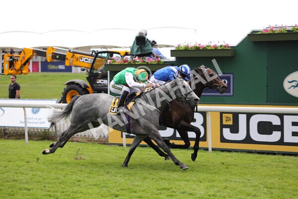 yr12062021r2-26 - Race 2 2.35pm The JCB Stakes