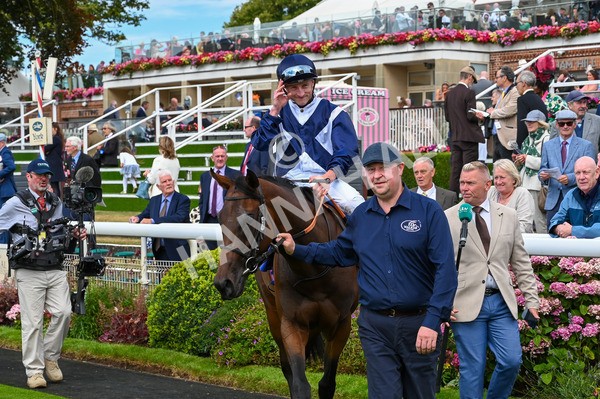 220824-Race 1-Celandine-6335 - Race 1 1.50pm Sky Bet Lowther Stakes