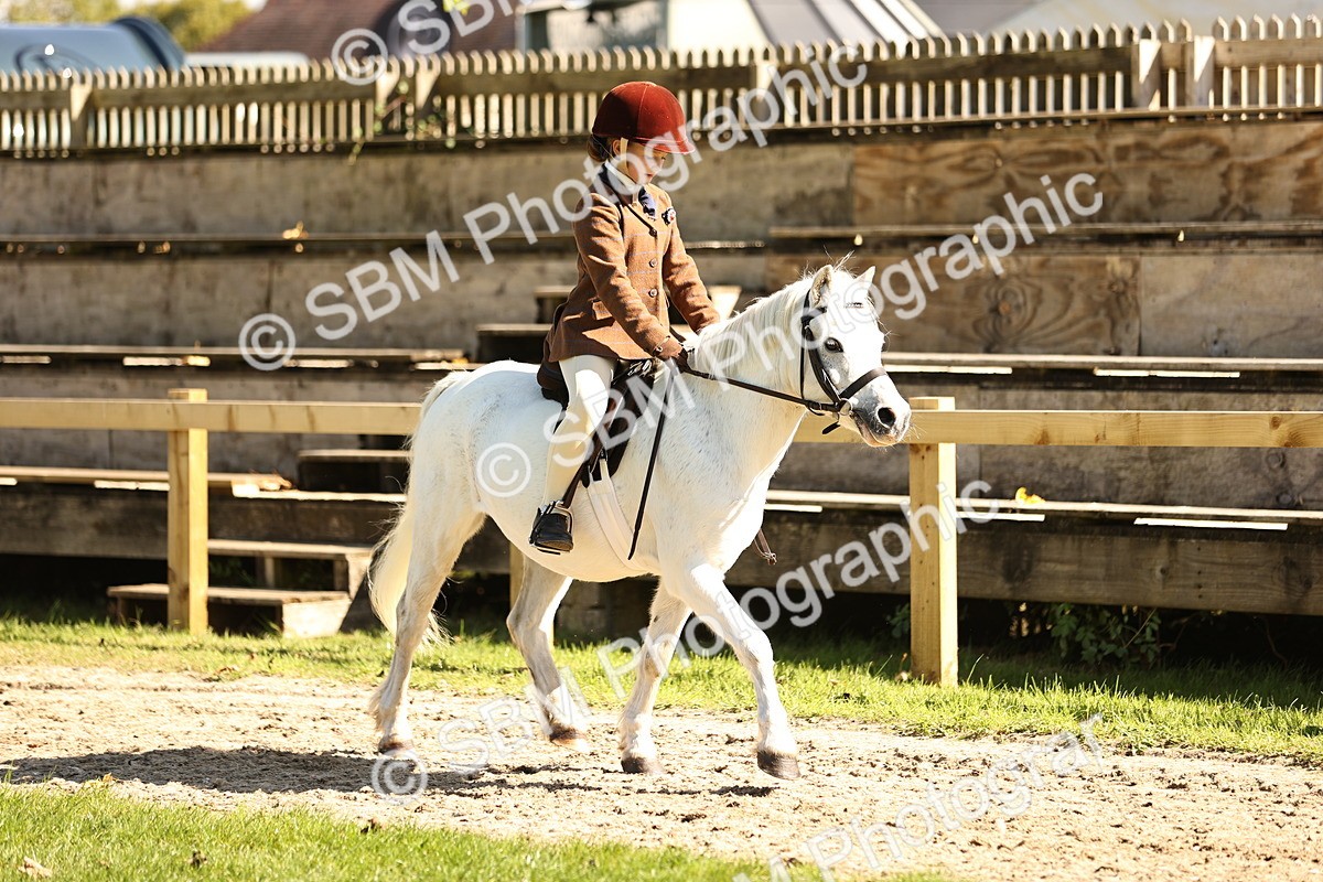 SBM_19245 - S3 - TSR Ridden Pony Showing
