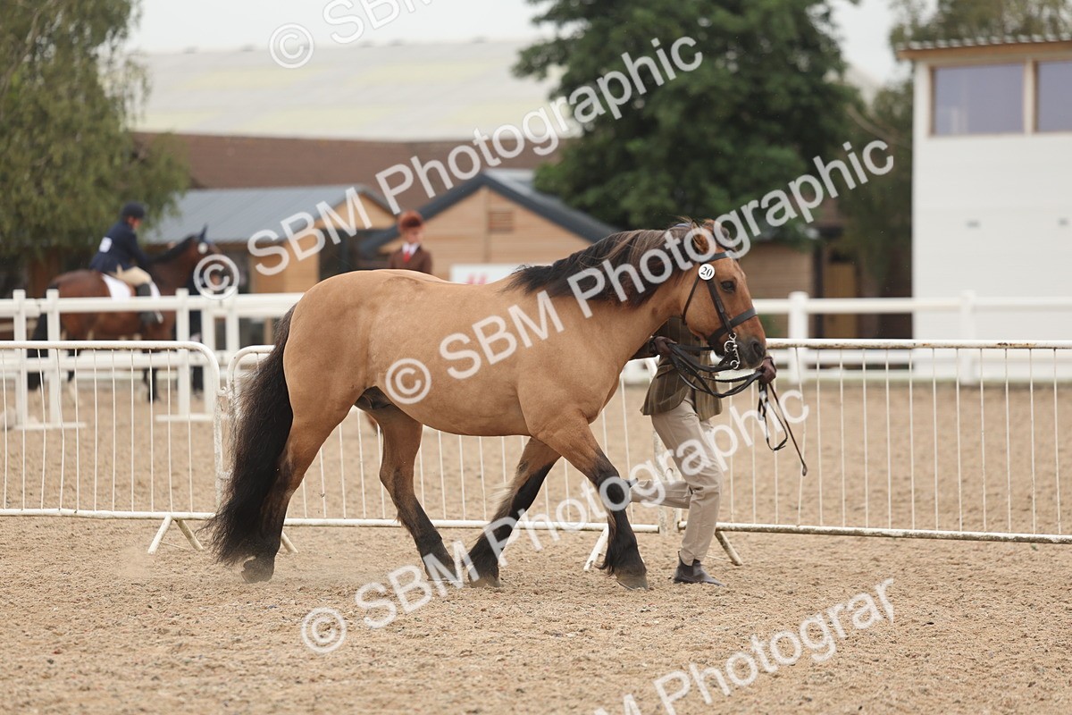 SBM_00484 - Class 13 Young Handler