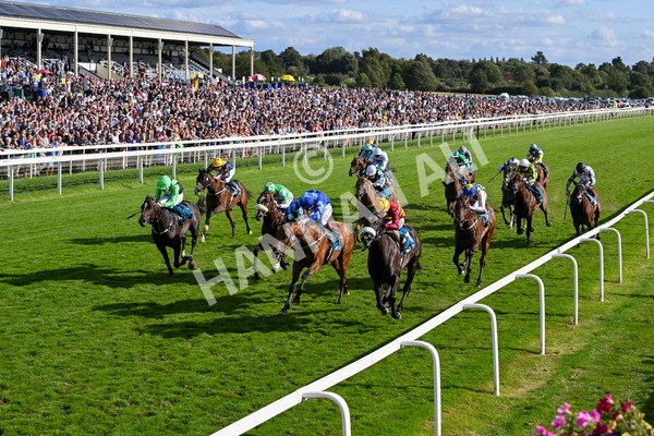 240824-Race 6-Tropical Storm-1843 - Race 6 4.45pm Julia Graves Roses Stakes