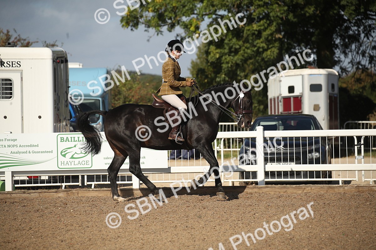 SBM_22767 - Class 602 - 2026 Area - Ridden Veteran