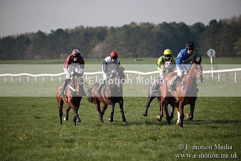 PtP 210418 605 - South & West Wilts Point-to-Point Larkhill 21/04/18