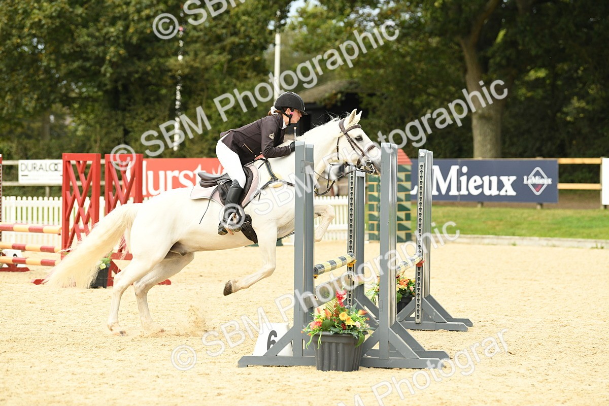 SBM_75652 - Supreme Championship