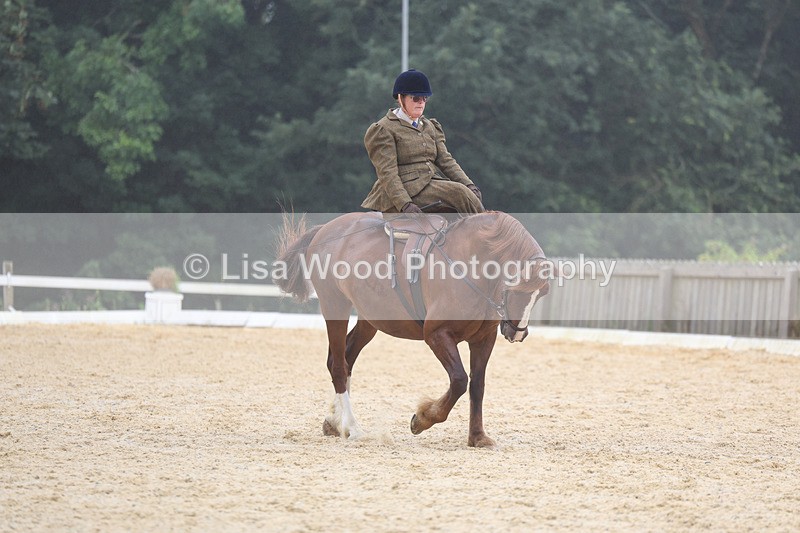 3E7A6845 - Class 5: Prelim to Music