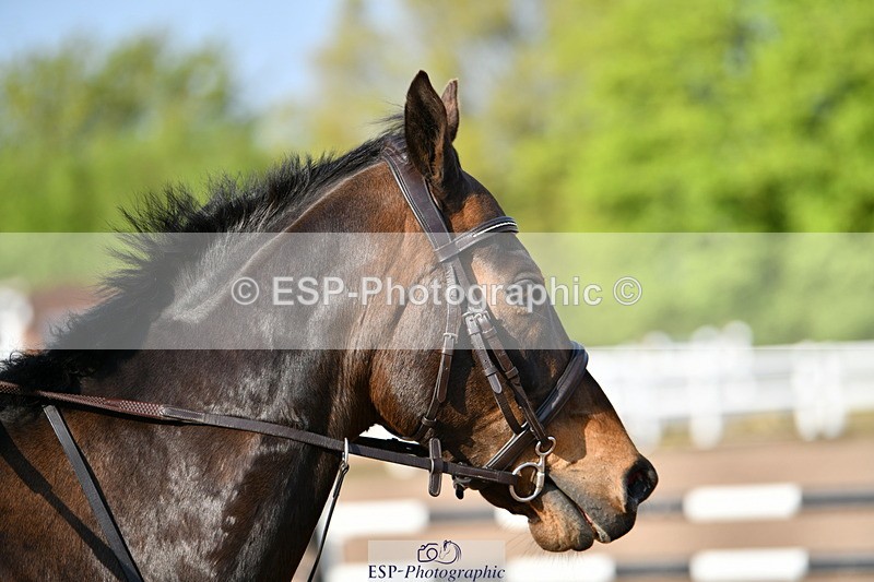 240511A-075846-10443 - Cls 27 85cm National Am Quali