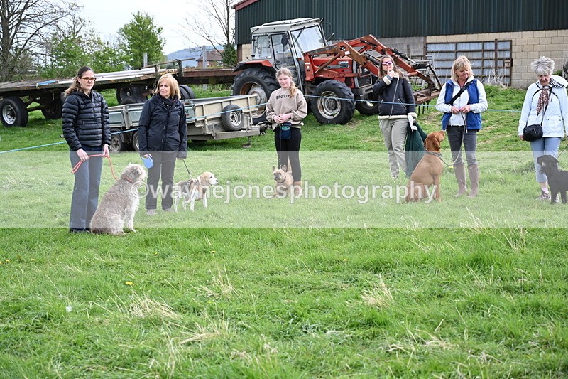 WJ6_8043 - Class 2 Best Pedigree