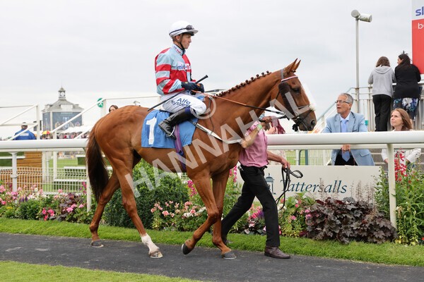 yr24072021r5-35 - Race 5 4.25pm Sky Bet Best Odds Guaranteed Stakes