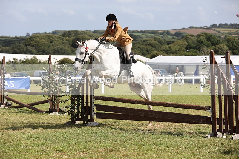 JPP_2503 - Class 20: Working Hunter 70cm