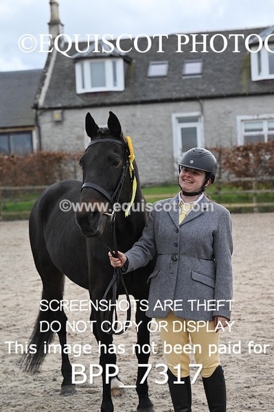 BPP_7317 - RING 1  (RIDDEN HORSES / IN HAND / VETERAN ETC)