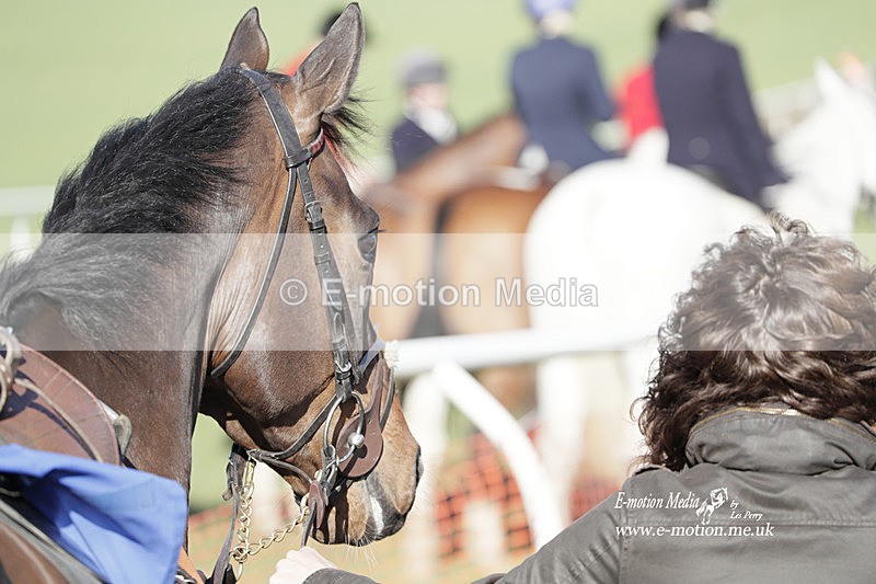PtP 100423 1203 - Old Berkshire Point-to-Point Lockinge 10/04/23