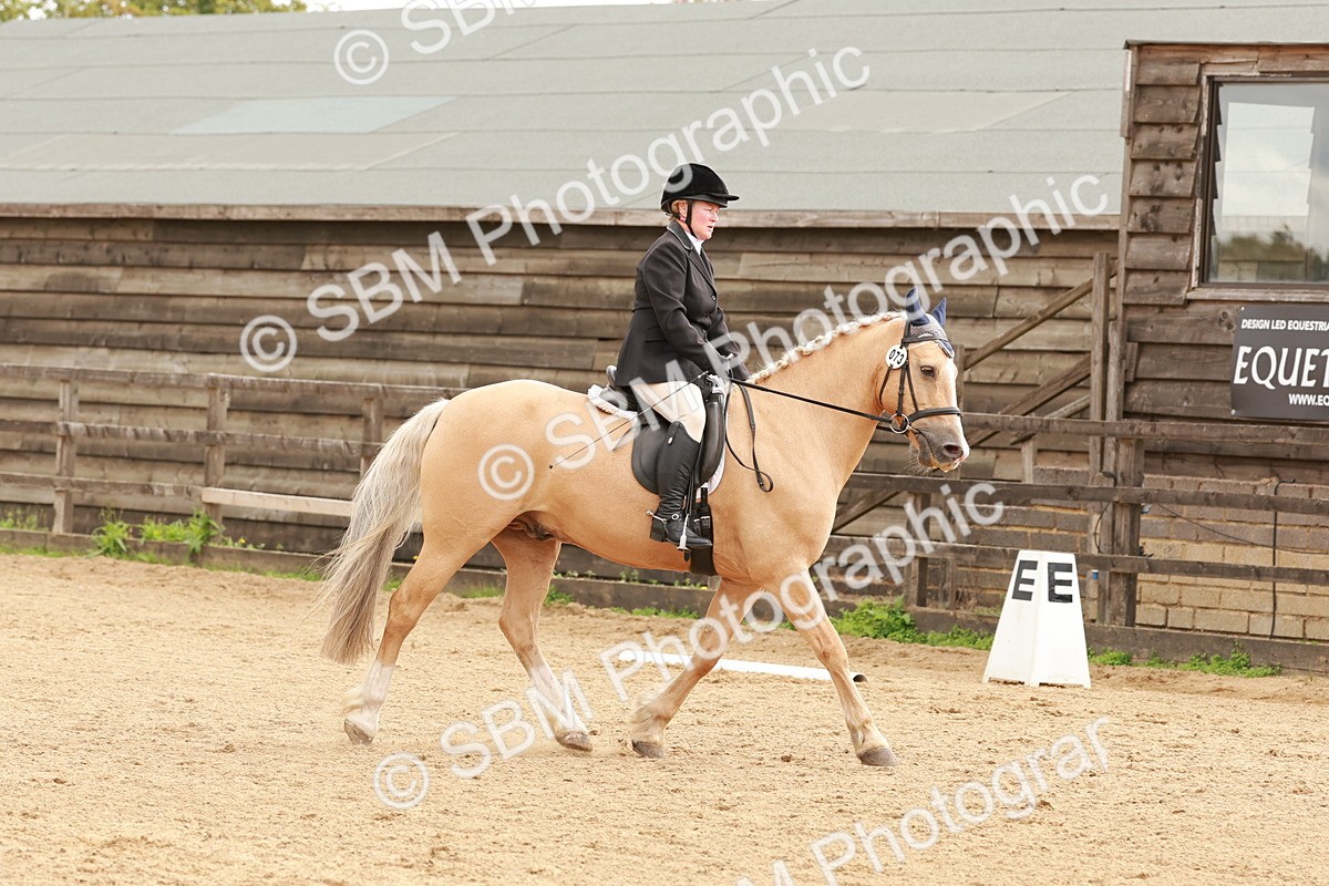 SBM_001479 - Prelim 2