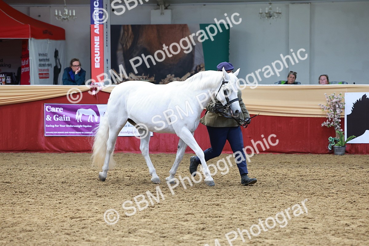 SBM_17475 - Class 951 - M&M IH Supreme Final