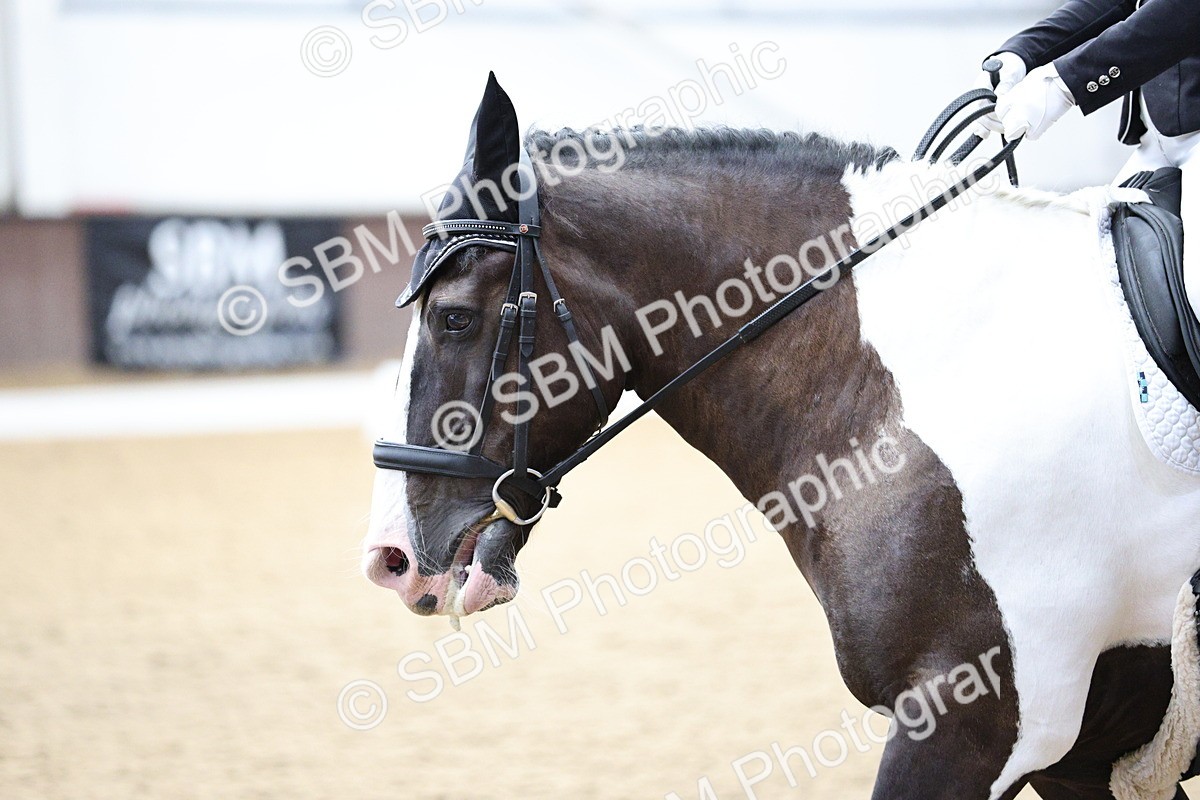 SBM_000085 - Class 1 - Prelim 5