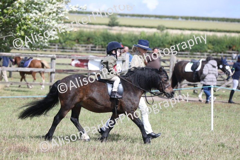 20250831-2772 - Class 17 - Lead Rein Pony