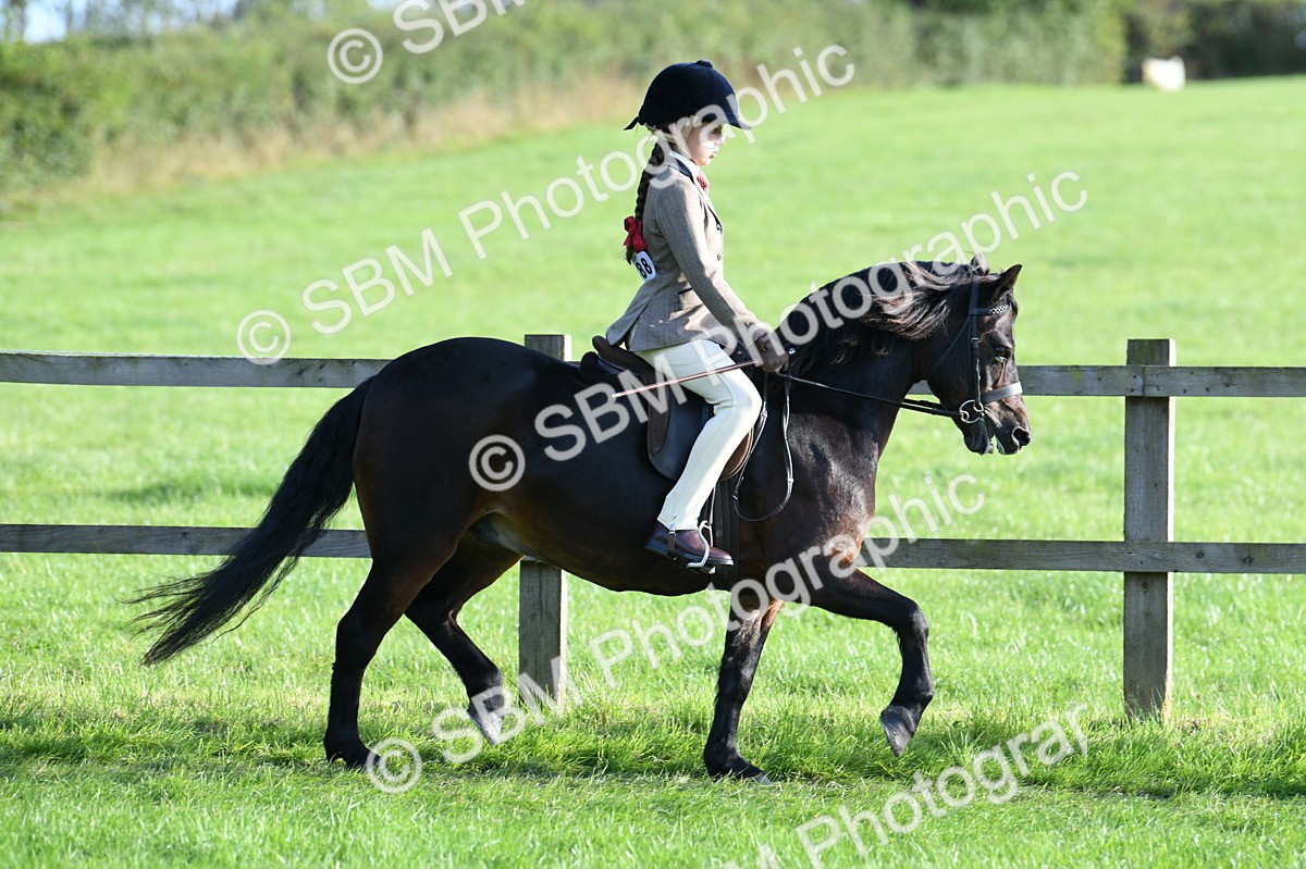 SBM_54025 - S23 - 1st Ridden Mountain & Moorland Pony