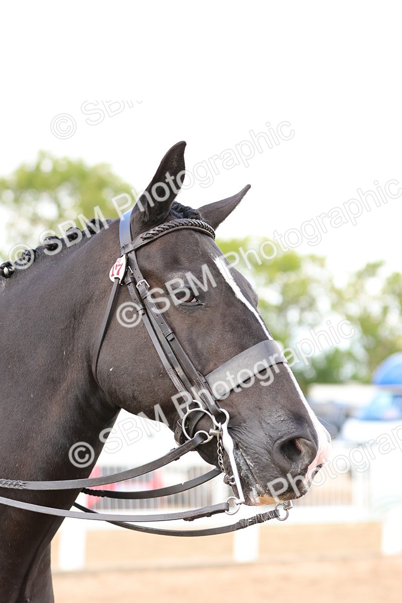 SBM_13564 - Class 212 - Ridden Hunter  - Large