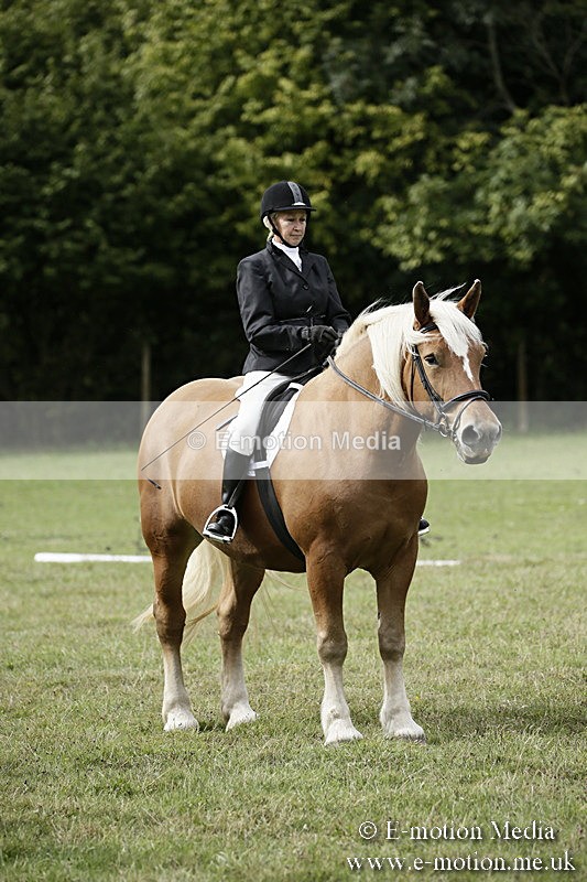 BVR080918 145 - BVRC Novice Dressage & CR 08/09/18