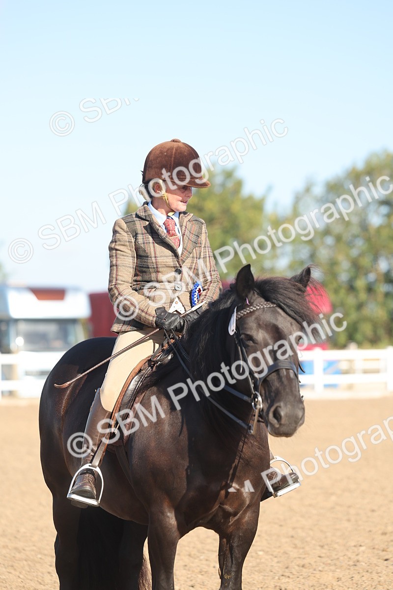 SBM_22139 - Class 801 - Ridden Veterans