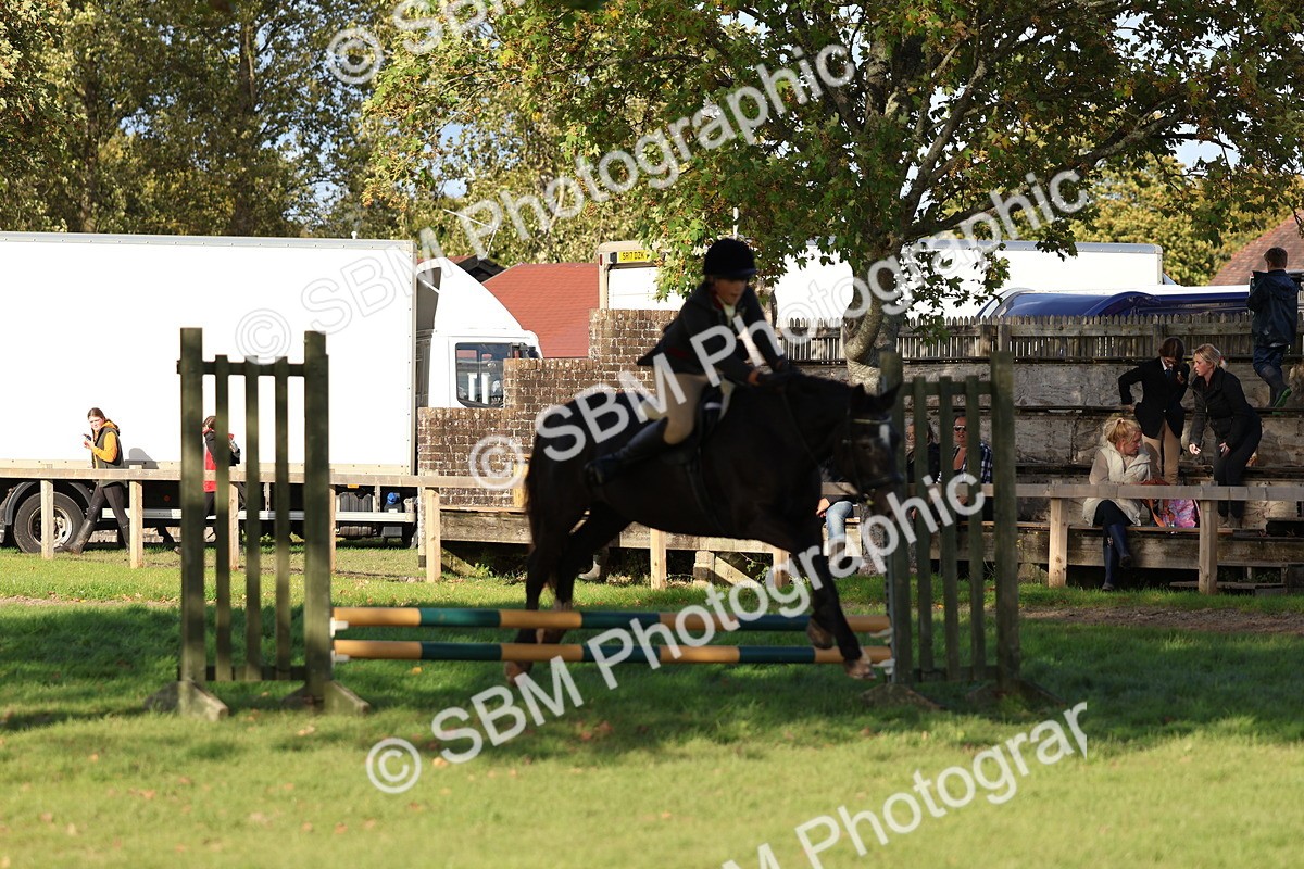 SBM_52528 - S13 - Pony Club Pony