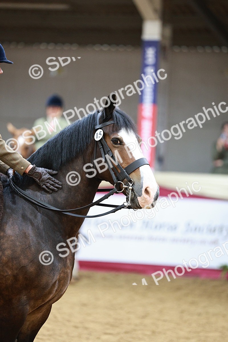 SBM_03590 - Class 6A Area Ridden Pre-Vet
