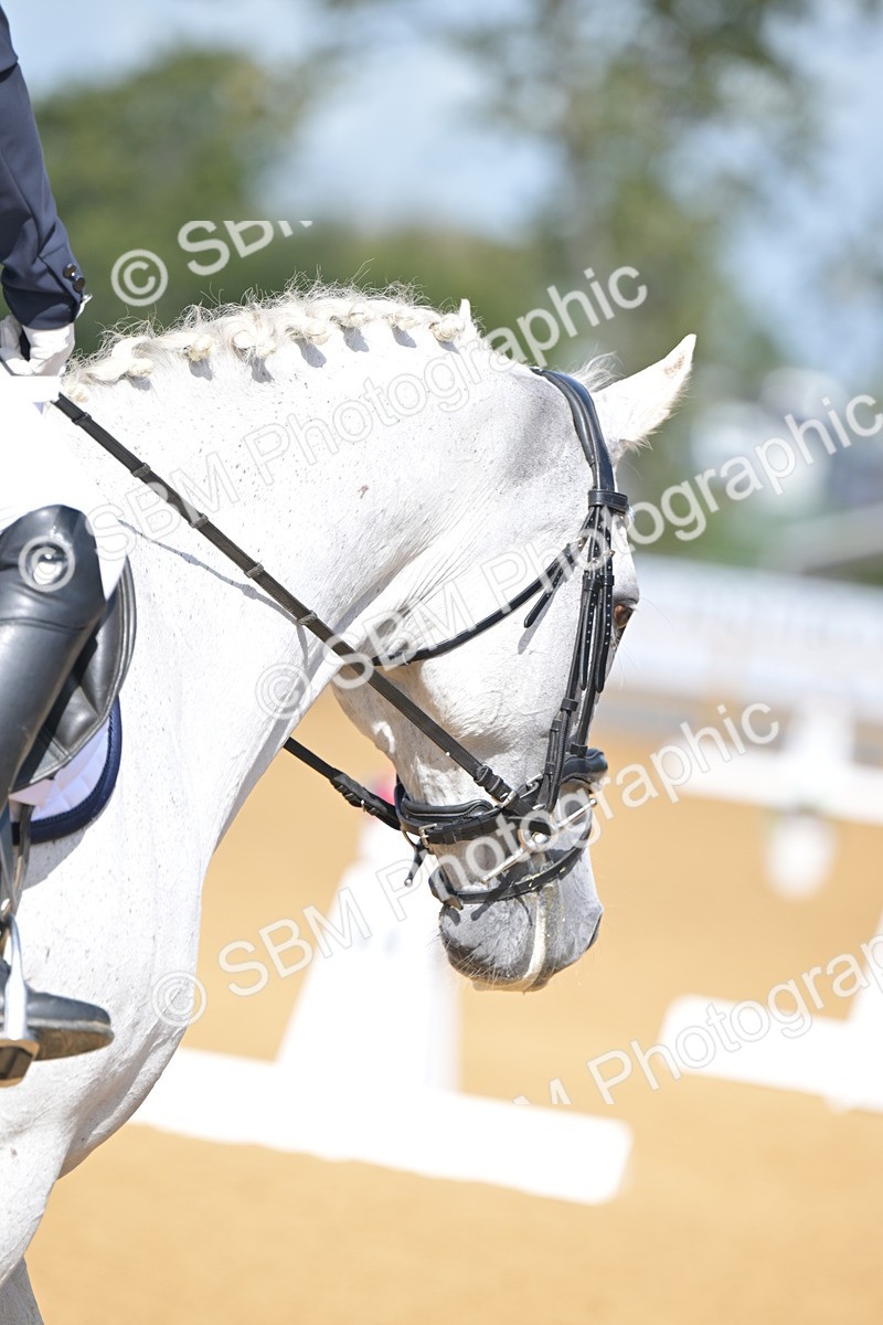 SBM_08044 - D8 - Small Tour Championship Prelim 1