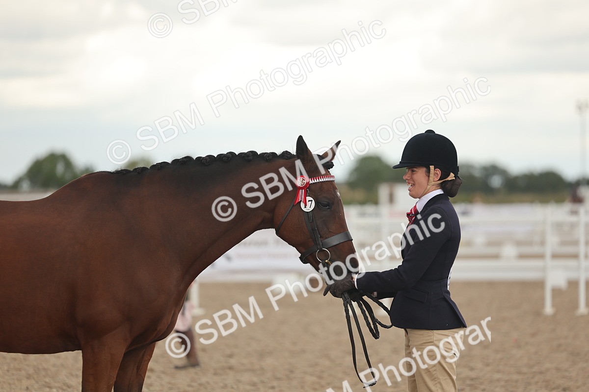 SBM_07657 - Class 26 - IH Foreign Breeds - Part Bred