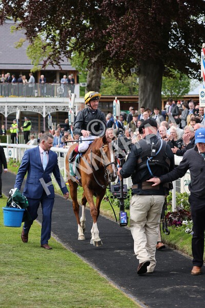 yr13052022r4-100 - Race 4 3.35pm The Paddy Power Yorkshire Cup (British Champions Series Race)