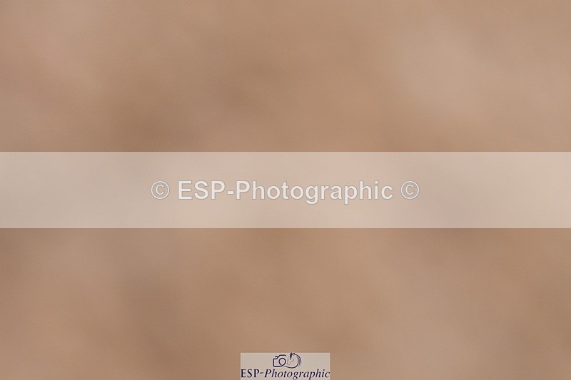 240121A-105108-00495 - Cls 5 Novice 37A