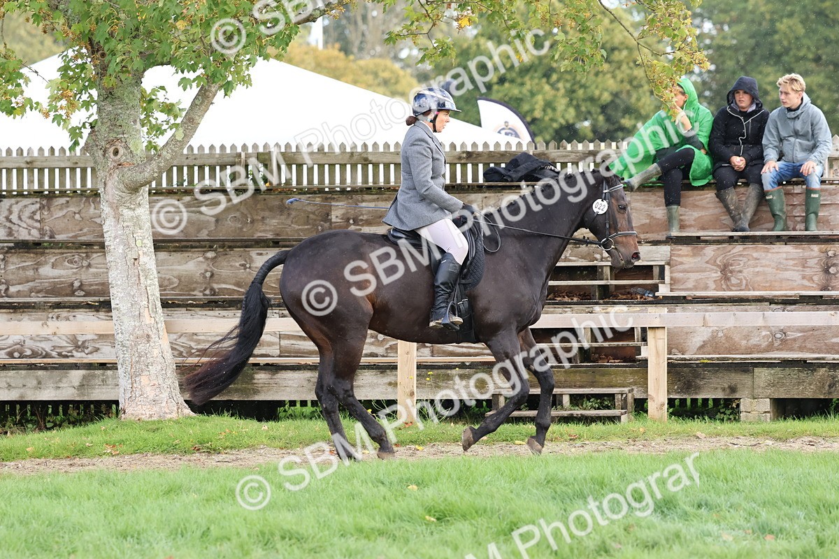 SBM_47671 - S28 - Veteran Ridden