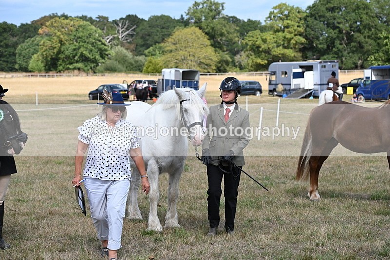 WJ6_6776 - Class 20 In-hand Cob
