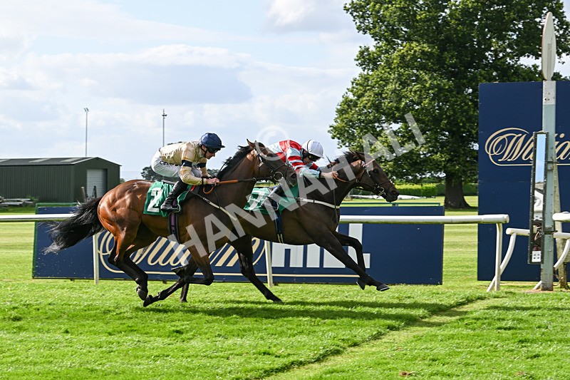 030824-Race 6-Night Breeze-1966 - Race 6