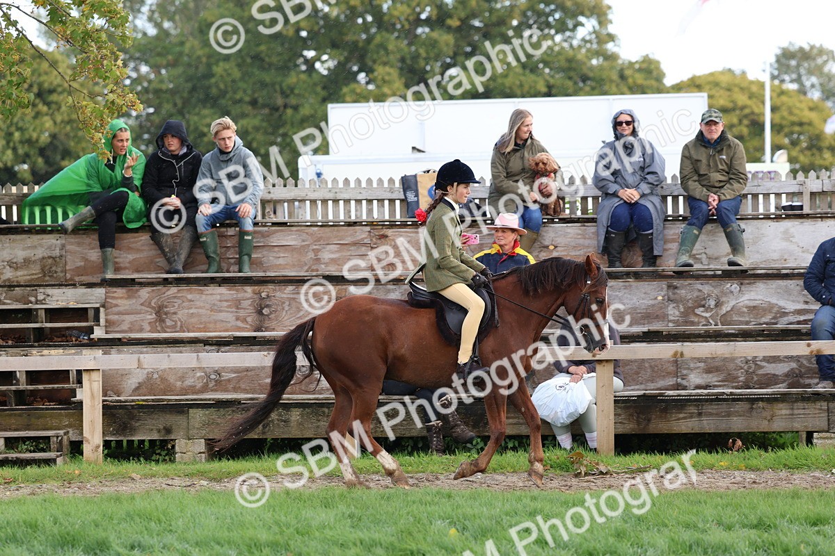SBM_47661 - S28 - Veteran Ridden