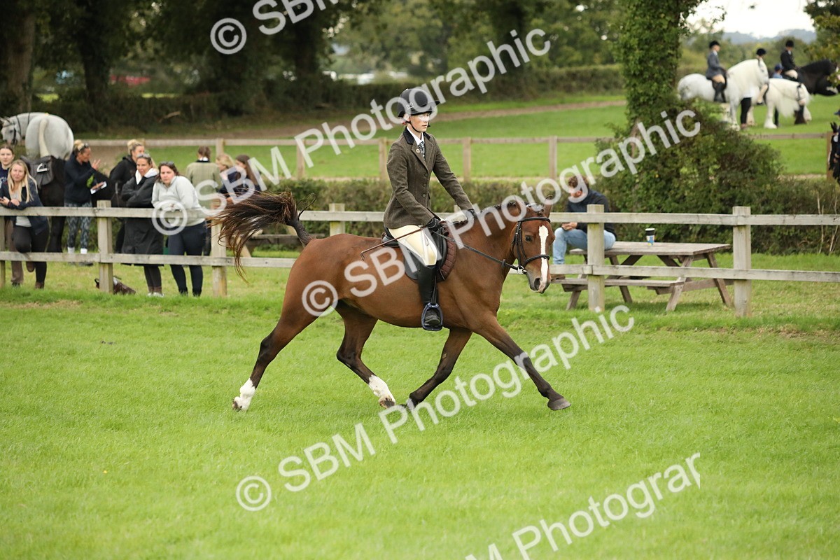 SBM_73752 - S41 - Ridden Equitation (Best Rider)
