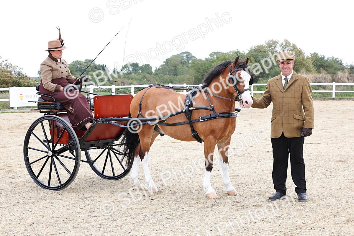 SBM_000297 - Class 2 - Exercise Vehicle 13.2hh & Under