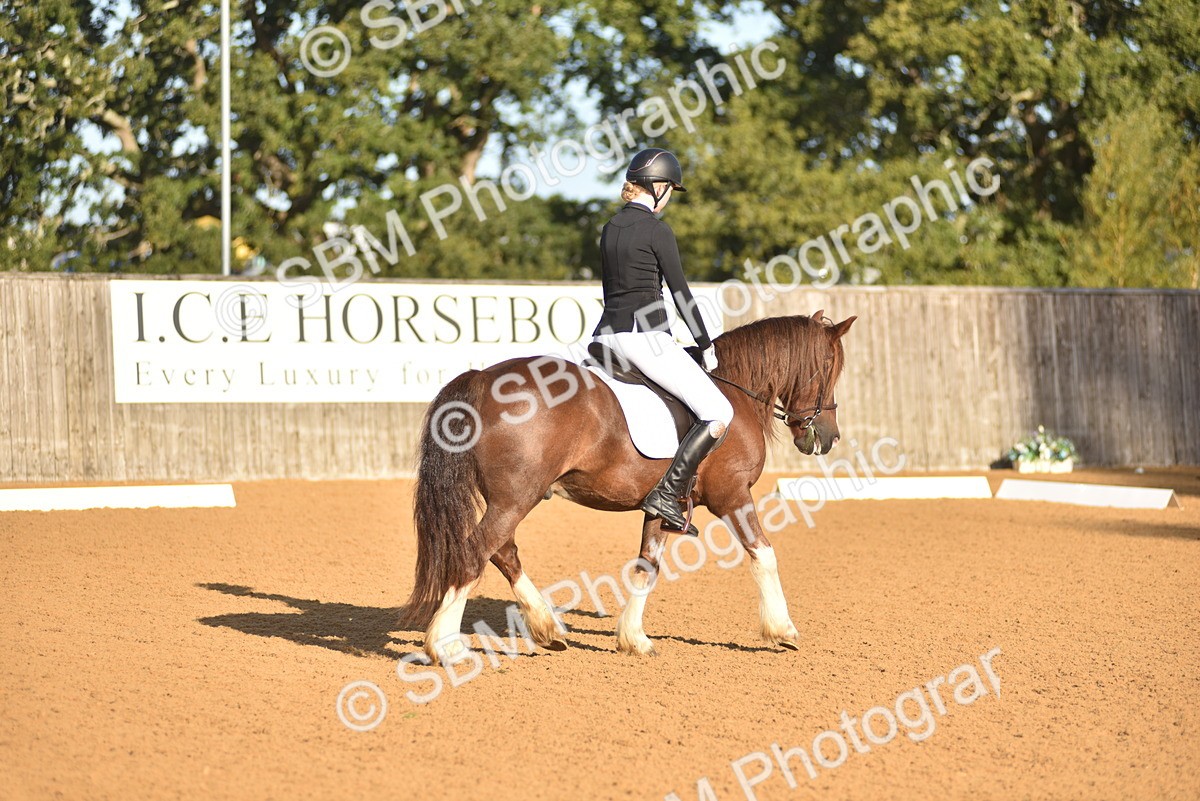 SBM_15695 - D4 - Small Tour Championship Intro 4