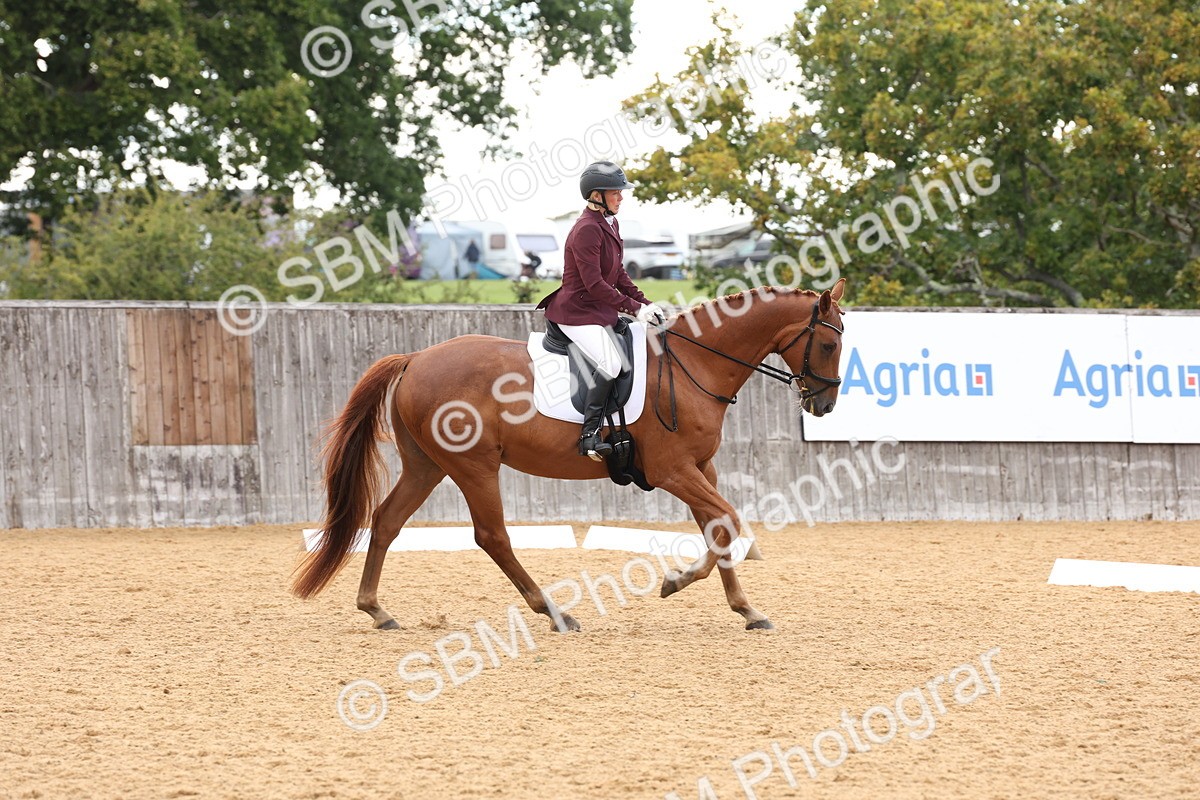 SBM_10746 - D9 - Small Tour Championship Prelim 3