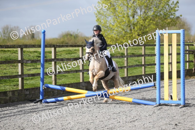 20260412-0097 - Show Jumping