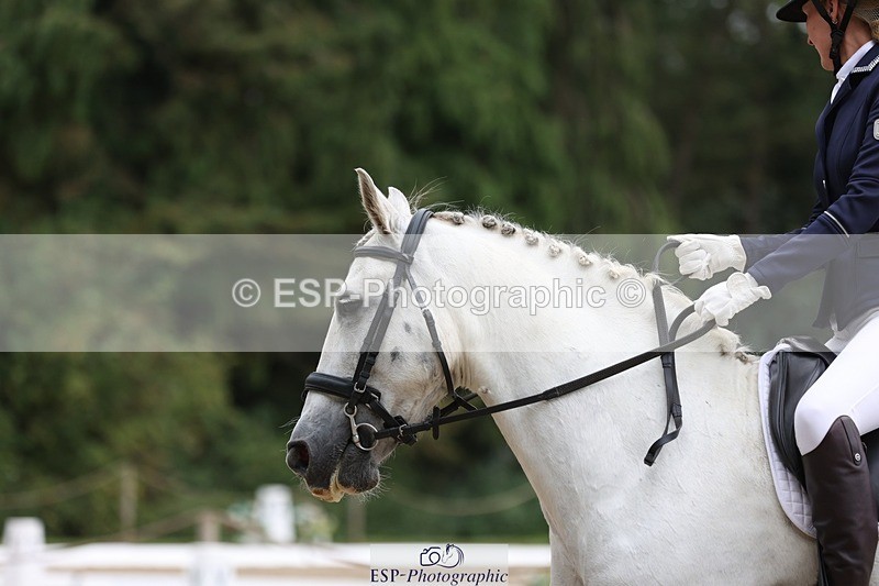 230812-101653-03190 - Cls 5 Novice Bronze Start to 10.55 break