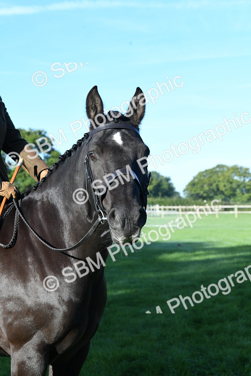 SBM_34060 - S16 - Condition & Turnout - Ridden